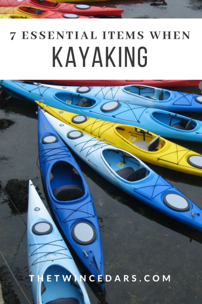 7 Important Items you Need when Kayaking in Michigan | The Twin Cedars